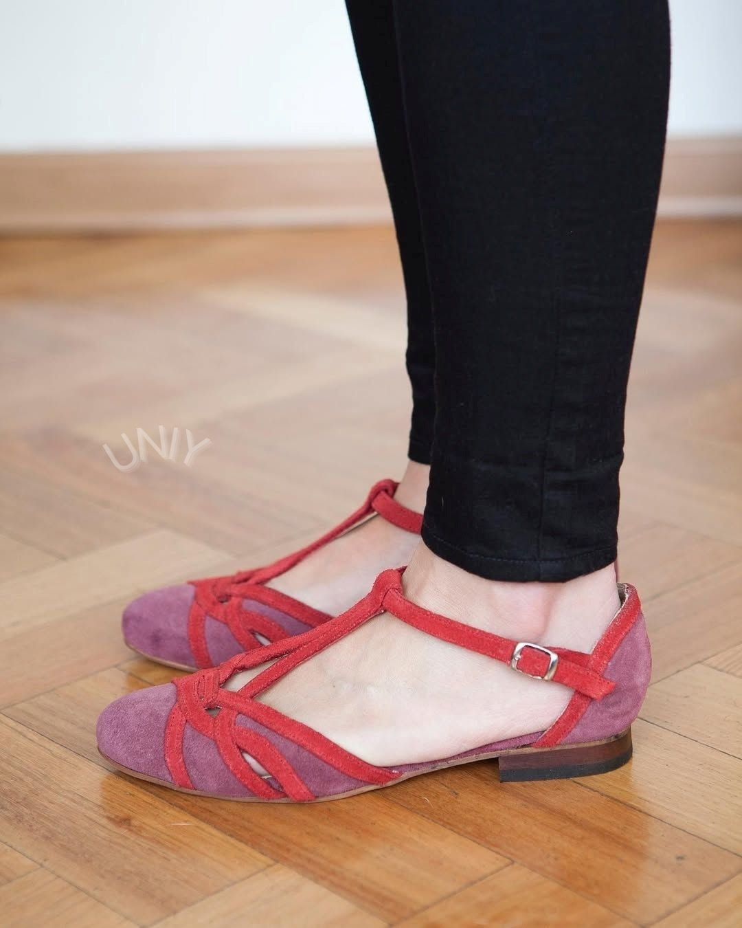 Color Block Faux Suede Pointed Toe Stylish T-Strap Flats [Pre Order]